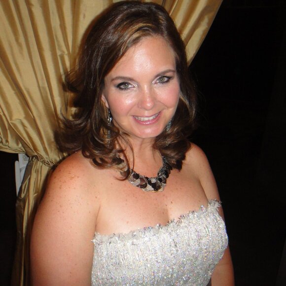 Theia SIlver Silk Strapless Gown with Beaded Bodice Size 14 - Picture 7 of 7